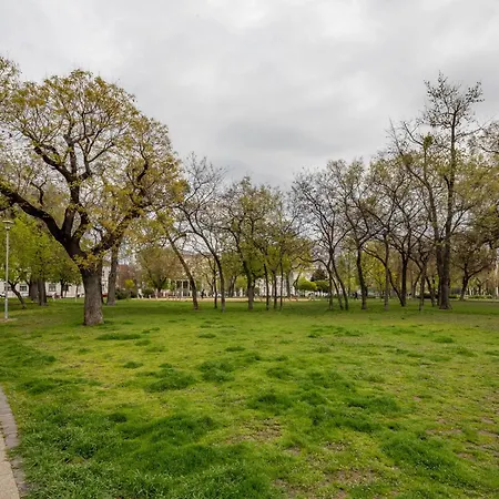 Spacious Oasis - Modern Design